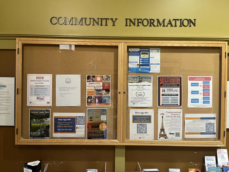 ALCSI flyers in a public library community information case